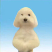 態度がでかい犬