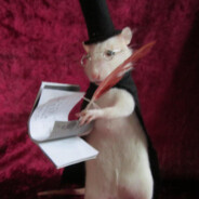 Rat Scribe