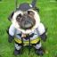 batdog -puglife-