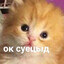 амфетаминч