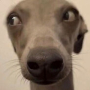 翻斗花园突击手