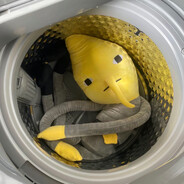 凭什么只能和你做普通