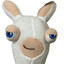 rabbid