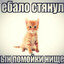 ЧИВАУВА