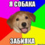 Собака Забияка