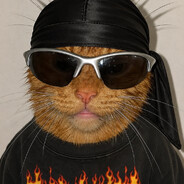 Meow