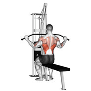 Lat Pulldown