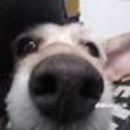 SniffingCOKE - steam id 76561199784277768