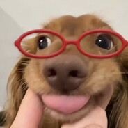 发把幻神是职业