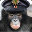 ::..Officer_Bonobo..::