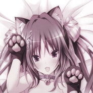 meoww1x