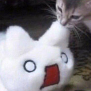 966