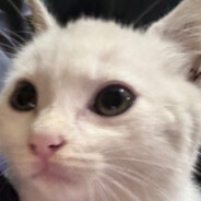 我是八块腹肌大帅哥