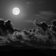 ミヤマクワガタ