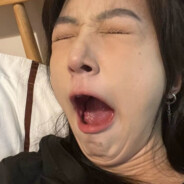 蓝桉终遇释怀鸟