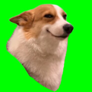 hotNeighbour's avatar