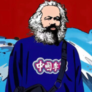 北海的菊花开了