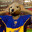 Cachorrao