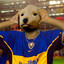 Cachorrao