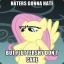 Fluttershy love