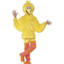 AliExpress Big Bird