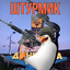 ШТУРМОВИК