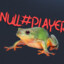 Null#Player