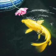 再见容易再见难