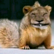 Всемсосущий