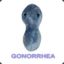 Gonorrhea