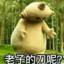 玛卡巴卡