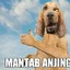 MANTAB ANJING