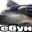 Пердун