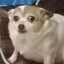 poogzer