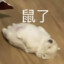 Taole