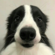 来份虾仁肉蟹拌面