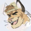 LynxLonx