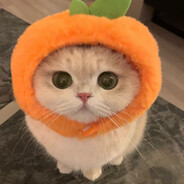 高级中学沈一然