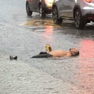 QZ