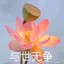 地狱萤石莲花王子