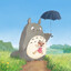 小可爱 kevn