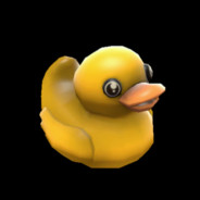 duck man