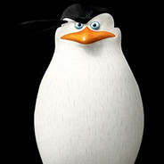 Skipper