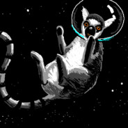 SpaceLemur