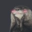 otter