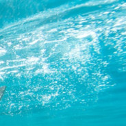 翻斗花园二号楼一零零