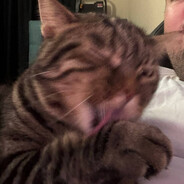 Alpuu - steam id 76561199074296941