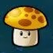 福州大学拳击手阳光菇