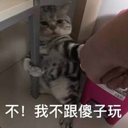 QQ弹弹's Avatar
