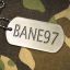 Bane97